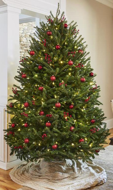 Get a live tree and plants for the holidays