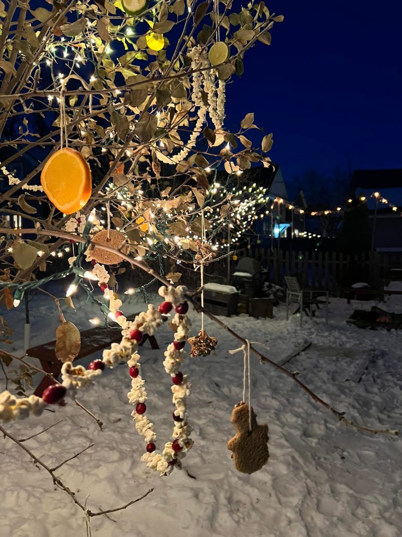 The Story Garden Annual Winter Tree Lighting